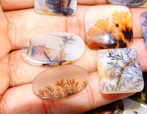 Top Natural Shazar ágata dendrítica piedra preciosa cabujón piedra preciosa venta al por mayor lote mezcla forma y piedra preciosa fina para uso fabricación de joyas - Product Image 1