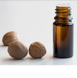 Huile essentielle de muscade authentique |   Extrait d'épices de qualité supérieure |   Exportateur mondial Inde - Product Image 3
