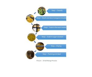 มะม่วงอบแห้งแบบพรีเมี่ยมสำหรับการส่งออก | มะม่วงอบแห้งเนื้อนุ่มมีรสชาติอร่อยและนุ่มสำหรับการค้าระหว่างประเทศ - Product Image 5