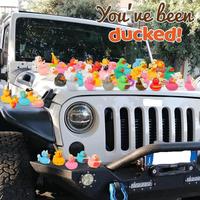 Vente en gros Mini Canard en caoutchouc Jouet de bain flottant personnalisé pour enfants avec logo et son Cadeau promotionnel en plastique pour bébés