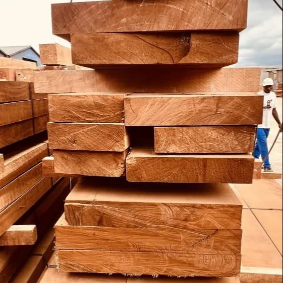 Ekop-beli-madera africana, madera cortada, 2023