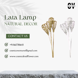 Popular Premium Quality Lata <b>Lamp</b> Lata & Vine Creation for Wedding Event Decor Dried Flower Arrangement - Product Image 4