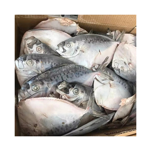 Bán buôn đông lạnh <span class=keywords><strong>moonfish</strong></span> WR số lượng lớn Thùng carton cao cấp toàn bộ vòng cá đã sẵn sàng cho lô hàng - Product Image 1