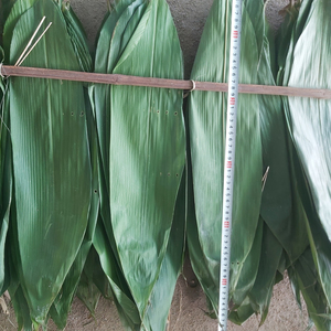 ใบไผ่แห้งสีเขียวธรรมชาติ ใบเต็ม สำหรับทำขนมจงซี ข้าวเหนียว ต้นกำเนิดจากเวียดนาม ความยาว 28-45 ซม. - Product Image 1