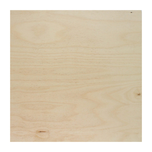 Placage stratifié de bouleau personnalisé palette en bois moderne de haute qualité E0 formaldéhyde presse à chaud chariot élévateur boîte en bois contreplaqué - Product Image 6