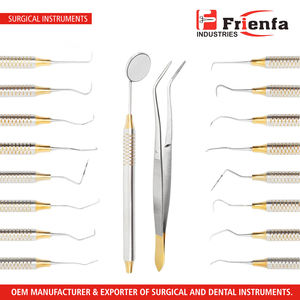 Kit d'outils pour hygiéniste dentaire (10 pièces) Comprend un miroir, une sonde, une pince, des scalers, une sonde de poche, des curettes Ensemble de nettoyage dentaire de prophylaxie - Product Image 2