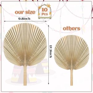 OEM ODM พัดใบปาล์มที่มีลำต้นช่อดอกไม้ธรรมชาติสำหรับใส่แจกันดอกปาล์มแห้งขนาดใหญ่สำหรับตกแต่งด้วยหญ้า - Product Image 4