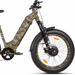 Vélo électrique Kru/3.0 à transmission intégrale, double moteur 500W, cadre bas, 12 vitesses, engrenages parfaits, matériau de cadre optimal, batterie au lithium 48V - Product Image 2