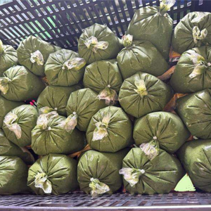 100% hojas de yuca naturales congeladas de origen vietnamita para procesamiento de alimentos - Product Image 1