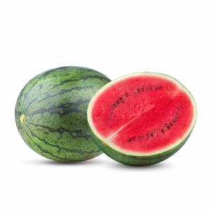 Mejores Exportadores Mayorista Dulce Verano Sandía Agua Melón Sandía Grande Fruta Verde Piel Fresca Alta Calidad Disponible - Product Image 6