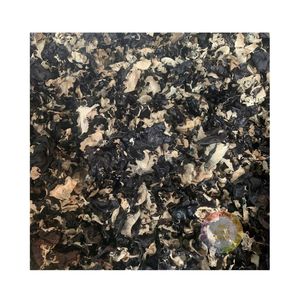 HONGO DE OÍDO DE MADERA NEGRA SECADO AL SOL HECHO EN VIETNAM VENTA CALIENTE 2025 HONGO NEGRO EXPORTACIÓN ESTÁNDAR ENTREGA RÁPIDA AL POR MAYOR - Product Image 3