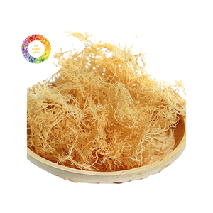 TOP VENTE VIETNAM EUCHEUMA COTTONII ALGUES-NOUVELLE ARRIVÉE 2024 SAISONNIÈRE WILDCRAFT MOUSSE DE MER SÉCHÉE MOUSSE D'IRLANDE AVEC/SANS SEL - Product Image 4