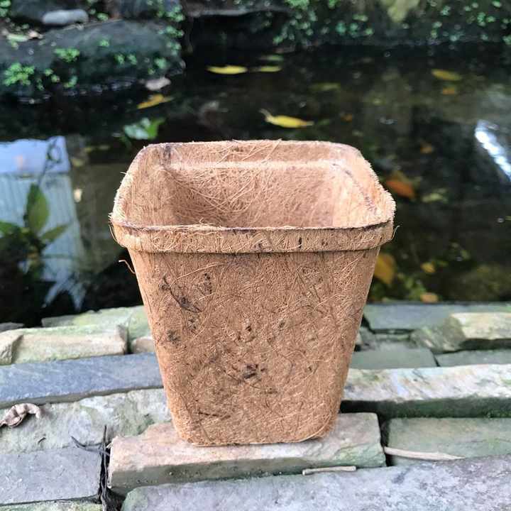 椰壳花盆椰子纤维植物种植生态花盆花瓶热压土花盆蓝莲花2024农业