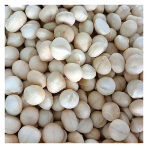 Noix de Macca du Vietnam Noix de Macca séchées à l'exportation avec huile riche et teneur en protéines Saveur naturelle Direct OEM Emballage personnalisé - Product Image 3