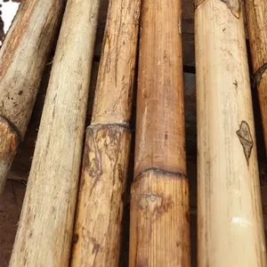 Aw-attan-ateriales de acero inoxidable, material de plástico de alta calidad, material de plástico - Product Image 3