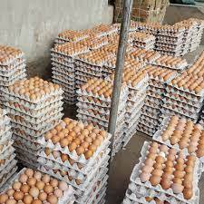 ไข่ไก่สดสีน้ำตาล น้ำหนัก 56-63 กรัม ต้นกำเนิดจากไก่ จัดเก็บในตู้เย็น อายุการเก็บรักษาหลายวัน มีจำหน่าย - Product Image 6