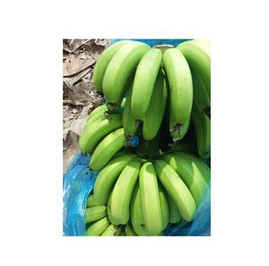 Plátano verde de calidad superior de fábrica de Vietnam a la venta-Plátanos frescos naturales Cultivo más nuevo-Exportación de fruta fresca en todo el mundo - Product Image 4