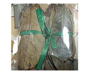 Feuille de corossol séchée du Vietnam de qualité supérieure meilleure valeur feuille de corossol séchée Graviola de haute qualité pour l'exportation de thé vendeur chaud prêt à vendre - Product Image 1