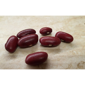 Red Kidney Bean precio barato venta al por mayor suministro a granel exportación listo - Product Image 4