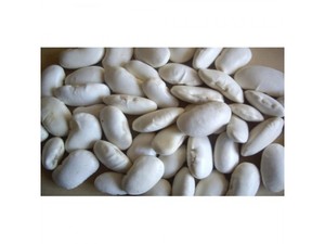 Haricots blancs séchés en vrac - Product Image 6