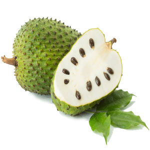 GRAN VENTA DE GRAVIOLA SECA/URSOPA SECA DE VIETNAM, SNACK DE FRUTA PURA, SIN ADITIVOS | Ms Jessi - Product Image 2