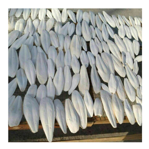 Os de seiche blanchi pour oiseau Reptile Calcium Treat poli propre séché du Vietnam - Product Image 1