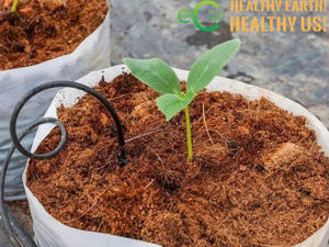 Bloque de turba de coco Low EC de 5kg-Medio de cultivo de fibra de coco natural 100% de Eco2go Vietnam - Product Image 5