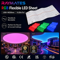 Feuille lumineuse LED RGB sur mesure RAYMATES UL ETL, DC24V, 300 LED, haute luminosité, pour panneaux LED muraux en onyx et quartz