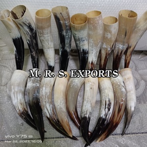 เขาควายแท้คุณภาพสูงสำหรับดื่มสไตล์ไวกิ้ง เขาควายและเขาควายบุรุษแท้  เขาดื่มสไตล์ไวกิ้งยุคกลาง ราคาไม่แพง - Product Image 4