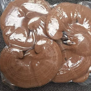 Hongo vietnamita Lingzhi Reishi tipo seco entero para la industria de condimentos y bebidas de alimentos - Product Image 3