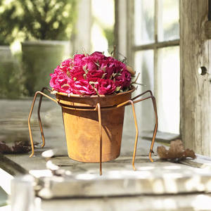 Supporto per Piante a Ragno in Metallo Rustico con Vaso, Portavaso Vintage in Ferro, Decorazione da <span class=keywords><strong>Giardino</strong></span> per Interni ed Esterni - Product Image 3