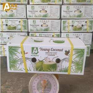 มะพร้าวอ่อนที่มีคุณค่าทางโภชนาการเกรดหวานมะพร้าวไทยที่สุกสมบูรณ์แบบใช้ทำอาหารเยื่อสด18ซม. 1.2กก. สีกากีทาลาดไทย - Product Image 3