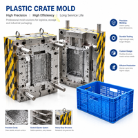 Produsen Cetakan Injeksi Plastik Besar untuk Casing Peralatan Rumah Tangga dengan Peralatan Presisi Khusus dan Layanan Manufaktur OEM