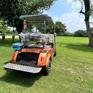 Voiturette de golf 2 places | Voiturette de golf électrique compacte | Buggy de golf élégant pour deux - Product Image 6