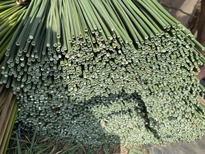 PAILLE D'HERBE MATÉRIAU NATUREL PAILLE À BOIRE DU VIETNAM - Product Image 2