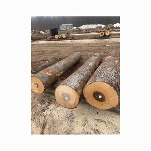 High Quality Soft and Hard <b>Logs</b> Pine Spruce Birch Oak Maple <b>Logs</b> Maple, Luan, Ash, Walnut Ayous <b>Wood</b> <b>Logs</b> Veneered Plywood at - Product Image 4