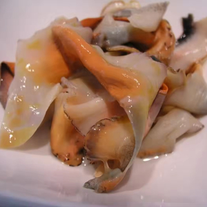 Keong segar makanan laut/abalon