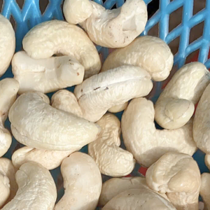 ผลิตเม็ดมะม่วงหิมพานต์ WW180, WW240, WW320, LP เม็ดมะม่วงหิมพานต์ดิบ ขายส่งจำนวนมาก ส่งออกไปยังเอเชีย สหภาพยุโรป และตะวันออกกลาง - Product Image 1