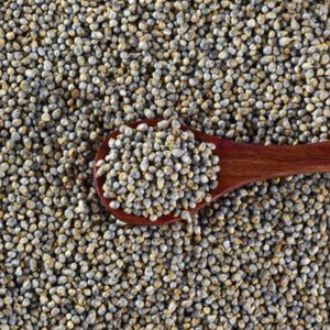 Céréales de millet Ragi 100% pures biologiques, sans gluten, sans OGM, superaliment riche en fibres, polyvalent, riche en nutriments - Product Image 1