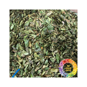 Feuilles de corossol séchées en forme de feuille uniforme, surface propre et sèche, arôme naturel, feuilles de corossol séchées en vrac, approvisionnement pour le marché mondial - Product Image 4