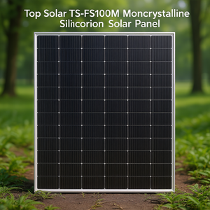 Panneau solaire monocristallin en silicium Top Solar TS-FS100M - Product Image 3