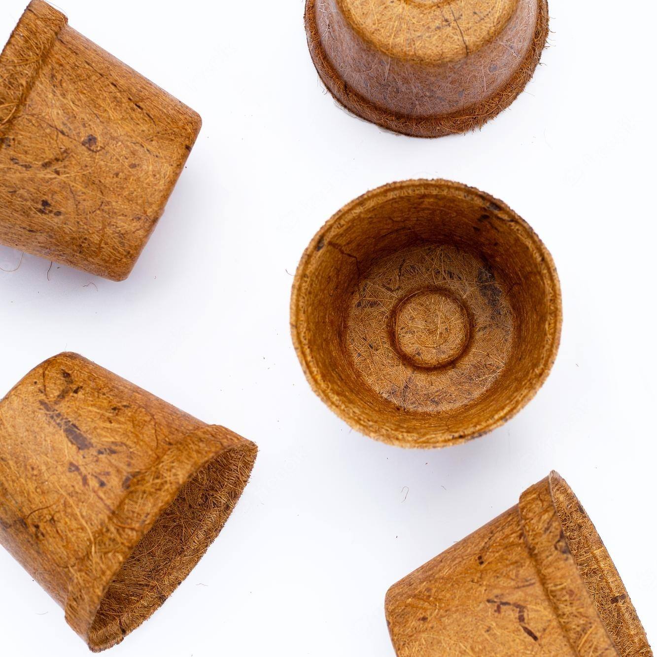 ธรรมชาติ