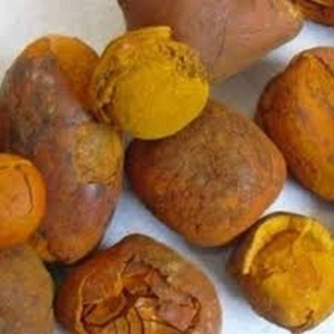 Cápsulas de Piedras de Bile de Buey y Vaca de Alta Calidad al por Mayor, Piedras de Bezoar de Origen Bovino - Product Image 4