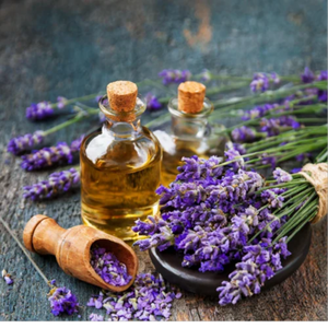 Aceite Esencial de Lavanda 100% Puro, Extracto de Flor Premium Destilado al Vapor, Certificado Kosher y Halal por BG - Product Image 2