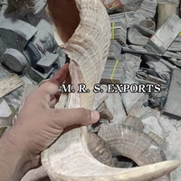 100% Meilleure qualité, cornes de shofar en mouton, finition naturelle, à prix avantageux, par une entreprise de fabrication indienne
