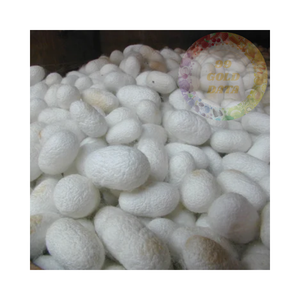 รังไหมไหมคุณภาพส่งออกจากเวียดนาม - Product Image 4