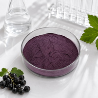 100% Natuurlijk Ribes Nigrum Fruit Vriesgedroogd Poeder/ Zwarte Bessen/ Zwarte Bessenpoeder