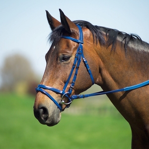 Venta al por mayor equipo ecuestre PVC caballo brida goma circunferencia riendas brida impermeable duradera caballo brida - Product Image 5