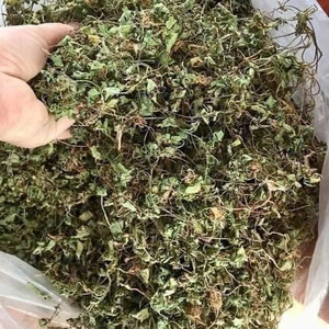 VENTE EN GROS OMIENNE SÉCHÉE/FEUILLES DE CENTELLA ASIATICA DE HAUTE QUALITÉ AU MEILLEUR PRIX DU FOURNISSEUR AU VIETNAM - Product Image 3