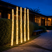Leuchtende LED-Birkenbaum-Beleuchtung 1M 2M 3M 4M Outdoor Wasserdicht DC24V Fiberglas-Landschaftsbirke für Garten- und Hoteldekoration